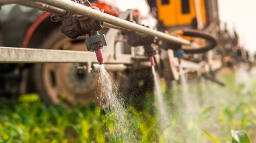 Antifungal resistance – a growing global problem