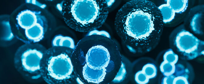 3d rendered image of stem cells