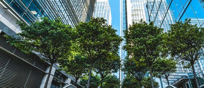 Green finance article image - trees in Canary Wharf