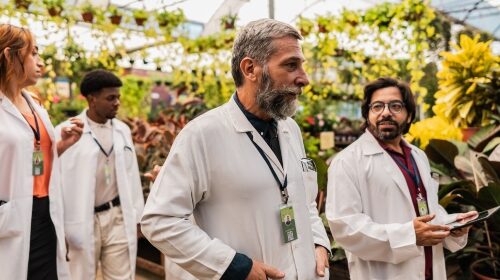 Designing life: how synthetic genomics could hold the key to sustaining the world